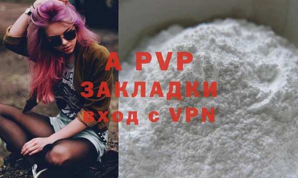 стафф Дмитровск