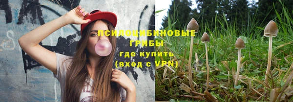 стафф Дмитровск