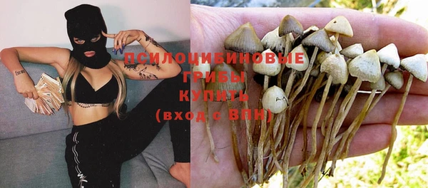 стафф Дмитровск