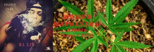 стафф Дмитровск