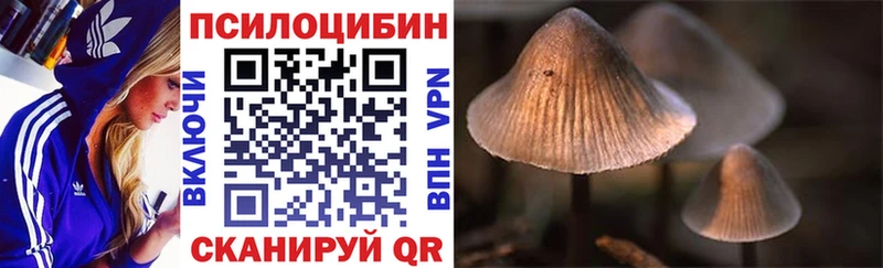 где найти   Жуковка  Псилоцибиновые грибы MAGIC MUSHROOMS 